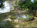 Apartmaji Ren - 150 m from beach: A3(2+1) Kampor - Otok Rab  - dvorišče