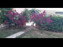 Apartmaji Robi- swimming pool and beautiful garden A1-žuti(5), A2-crveni(5), A3(3+1) Kampor - Otok Rab  - cvetje