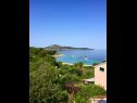 Apartmaji Delfin - sea view: A3(2+2), A4(2+2) Šepurine (Otok Prvić) - Riviera Šibenik  - pogled