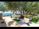 Hiša za počitnice Bože - 10m from the sea: H(10+2) Drvenik Mali (Otok Drvenik Mali) - Riviera Trogir  - Hrvaška  - vrt