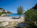 Apartmaji Sretan A1-Rogač(5+1), A2-Višnja(4+1), A3-Kiwi(2+1) Zaliv Ljubljeva (Vinišće) - Riviera Trogir  - Hrvaška  - plaža
