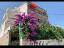 Apartmaji Per - 80 m from beach: SA2(2+1), A5(3), A6(2+1), A45(8), SA3(3), A7(2+1) Marina - Riviera Trogir  - hiša