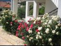 Apartmaji Davorka - 50m from the sea A1(2+2), A2(2+2) Trogir - Riviera Trogir  - cvetje