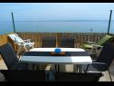 Hiša za počitnice Villa Jadran - 10 m from beach: H(6+2) Preko - Otok Ugljan  - Hrvaška  - hiša
