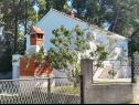 Hiša za počitnice VEKY - 50m from sea: Holiday House H(4+2) Sušica - Otok Ugljan  - Hrvaška  - Holiday House H(4+2): hiša