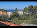 Apartmaji MiMa - 150 m from the beach: A1(2+2), A3(5), A2(2+2) Sušica - Otok Ugljan  - pogled na morje (hiša in okolica)