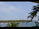 Apartmaji Davor - 20m from sea : A1(2+2), A2(2+2), A3(6) Mali Iž (Otok Iž) - Riviera Zadar  - pogled