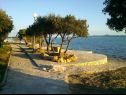 Apartmaji Mis - apartments close to sea: A1(4), A2(4) Petrčane - Riviera Zadar  - plaža