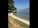 Apartmaji Andy - only 50 m from beach: A1(3+1), A2(2+1), SA1(2) Sukošan - Riviera Zadar  - plaža