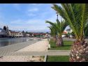 Apartmaji Let - 5 m from sea : A1(4), A4(4) Sukošan - Riviera Zadar  - podrobnost
