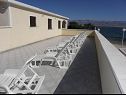 Apartmaji Stjepan- 10 m from beach A1 prizemlje desno(2+2), A2 prizemlje lijevo(2+2), A3 1.kat lijevo(2+2) Vir - Riviera Zadar  - skupna terasa (hiša in okolica)
