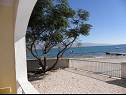 Apartmaji Stjepan- 10 m from beach A1 prizemlje desno(2+2), A2 prizemlje lijevo(2+2), A3 1.kat lijevo(2+2) Vir - Riviera Zadar  - Apartma - A1 prizemlje desno(2+2): pogled na morje