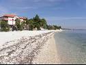 Apartmaji Monika - 10m from sea: A8(4+2), A11(4+2), A16(4+2), A17(4+2), A12(2+2), A13(2+2), A20(2+2), A21(2+2), SA14(2+1), SA15(2+1), SA22(2+1), A23(2+1) Vir - Riviera Zadar  - plaža
