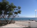 Apartmaji Stjepan- 10 m from beach A1 prizemlje desno(2+2), A2 prizemlje lijevo(2+2), A3 1.kat lijevo(2+2) Vir - Riviera Zadar  - pogled na morje (hiša in okolica)