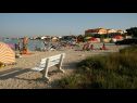 Apartmaji Tihana - 200 m from sea: A1(4+1) Vir - Riviera Zadar  - plaža