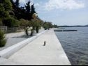 Apartmaji Franka - 70 m from sea: A1(6) Zadar - Riviera Zadar  - podrobnost