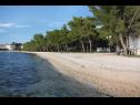 Apartmaji Eddie - great location & comfor: A1(4), A2(4), A3(4), A4(4) Zadar - Riviera Zadar  - plaža
