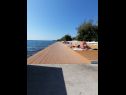 Apartmaji Petin - 5m from the sea: A1(2+2), A2(2+2) Zadar - Riviera Zadar  - plaža