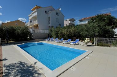 Apartmaji Olive - swimming pool: A1(4), A2(4), A3(4), SA4(2), SA5(2) Biograd - Riviera Biograd 