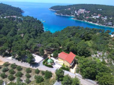 Hiša za počitnice Denis - 100 m from beach: H(11) Zaliv Osibova (Milna) - Otok Brač  - Hrvaška 