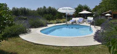 Hiša za počitnice Gurianum - with pool: H(8) Vodnjan - Istra  - Hrvaška 