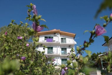 Apartmaji Gloria - 5 min to the beach : SA1(3+1), SA2(3), SA3(3), SA4(4), SA5(3), SA6(3), SA7(2), A8(6+4) Gradac - Riviera Makarska 