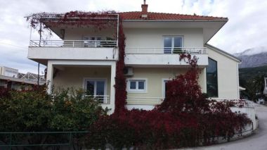 Apartmaji Maja - 100 from the beach: A1- Galebovo krilo (2+2), A2-Uzorita (2+2), SA1(2) Podgora - Riviera Makarska 