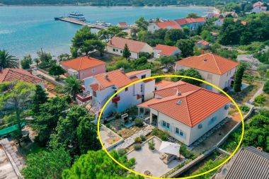 Hiša za počitnice Ante - 30 m from beach: H(6+2) Ist (Otok Ist) - Riviera Zadar  - Hrvaška 