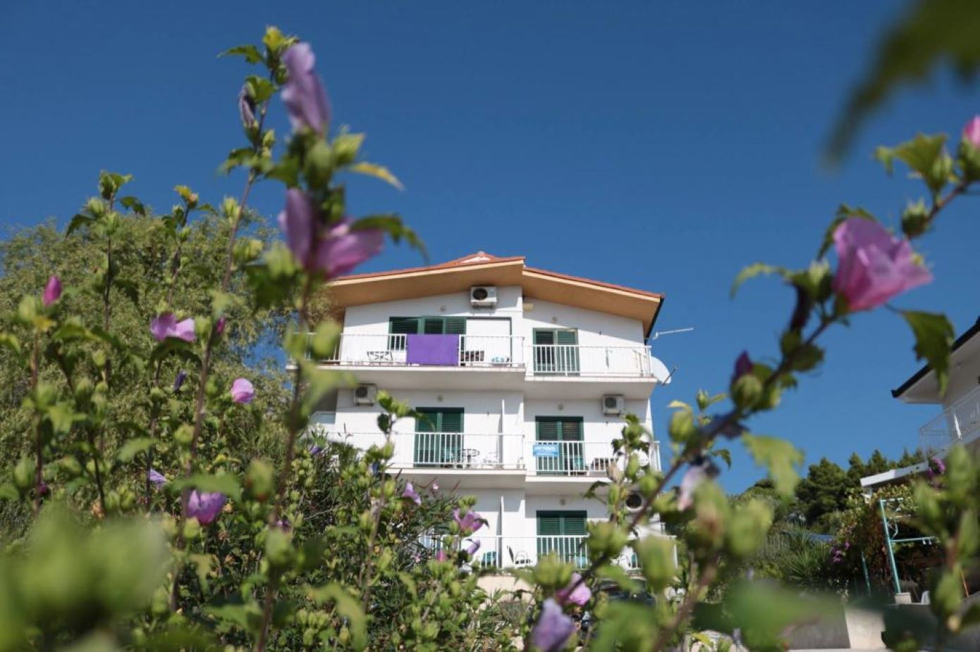 Apartmaji Gloria - 5 min to the beach : SA1(3+1), SA2(3), SA3(3), SA4(4), SA5(3), SA6(3), SA7(2), A8(6+4) Gradac - Riviera Makarska 